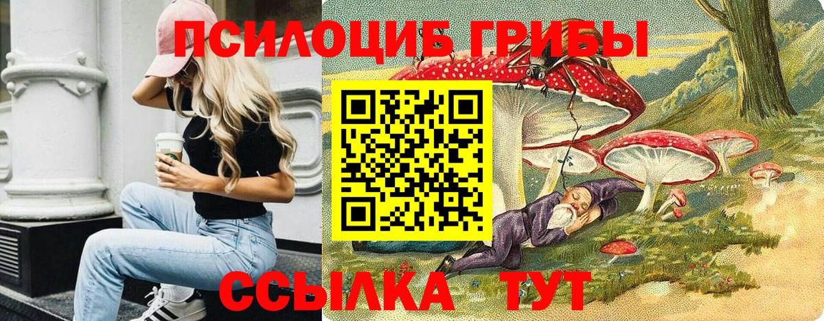 Алатырь  Галлюциногенные грибы MAGIC MUSHROOMS  Вход с VPN  Псилоцибиновые грибы прущие грибы 