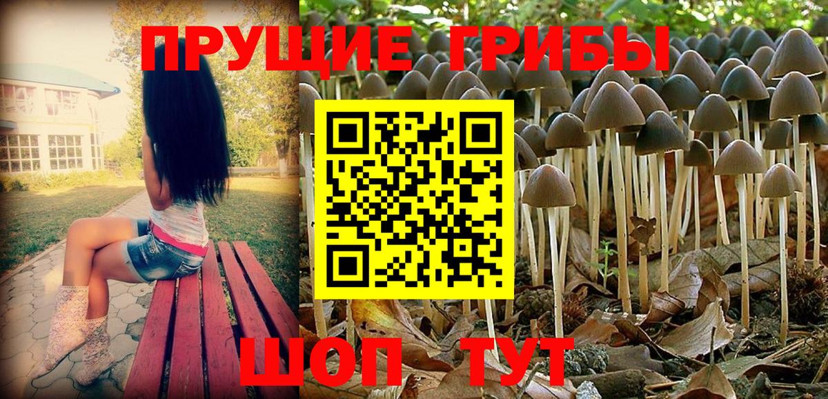 Галлюциногенные грибы Magic Shrooms Алатырь